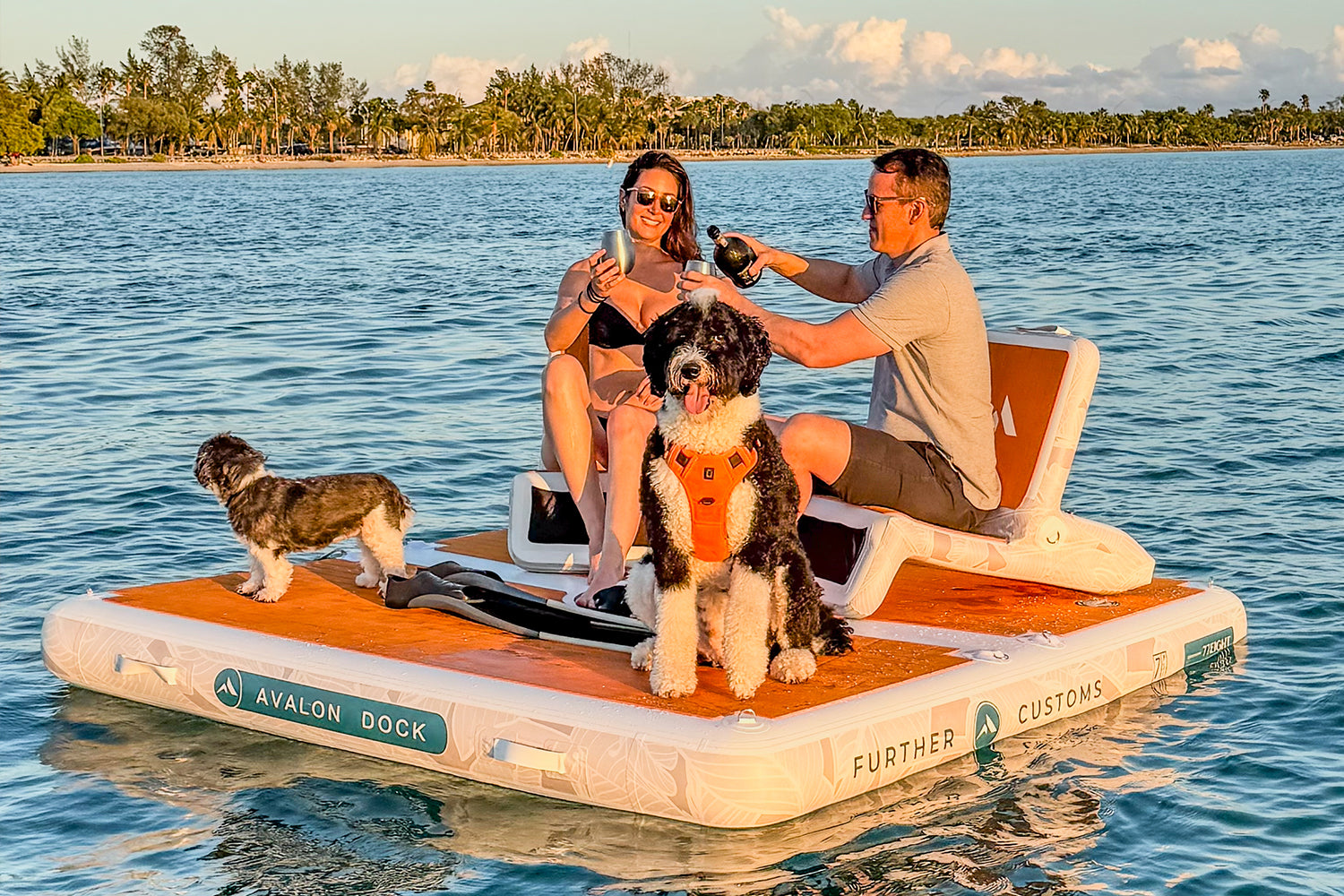 How Digital Content Shapes Buyer Decisions for Specialized Products