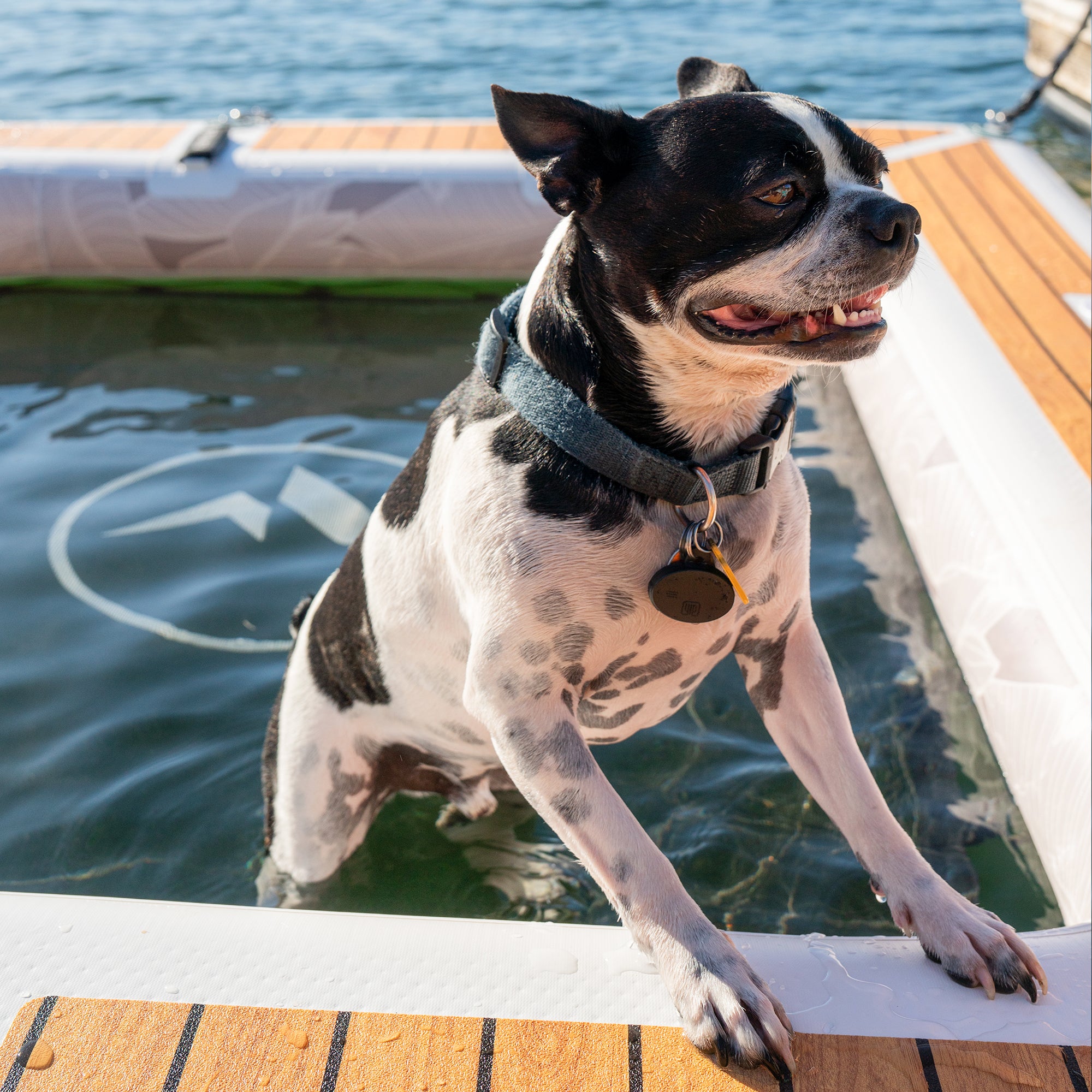 Further Customs Dippin Dock Pet Friendly Durable Floating Dock Seasonal Weekend Summer Lake House Cabin