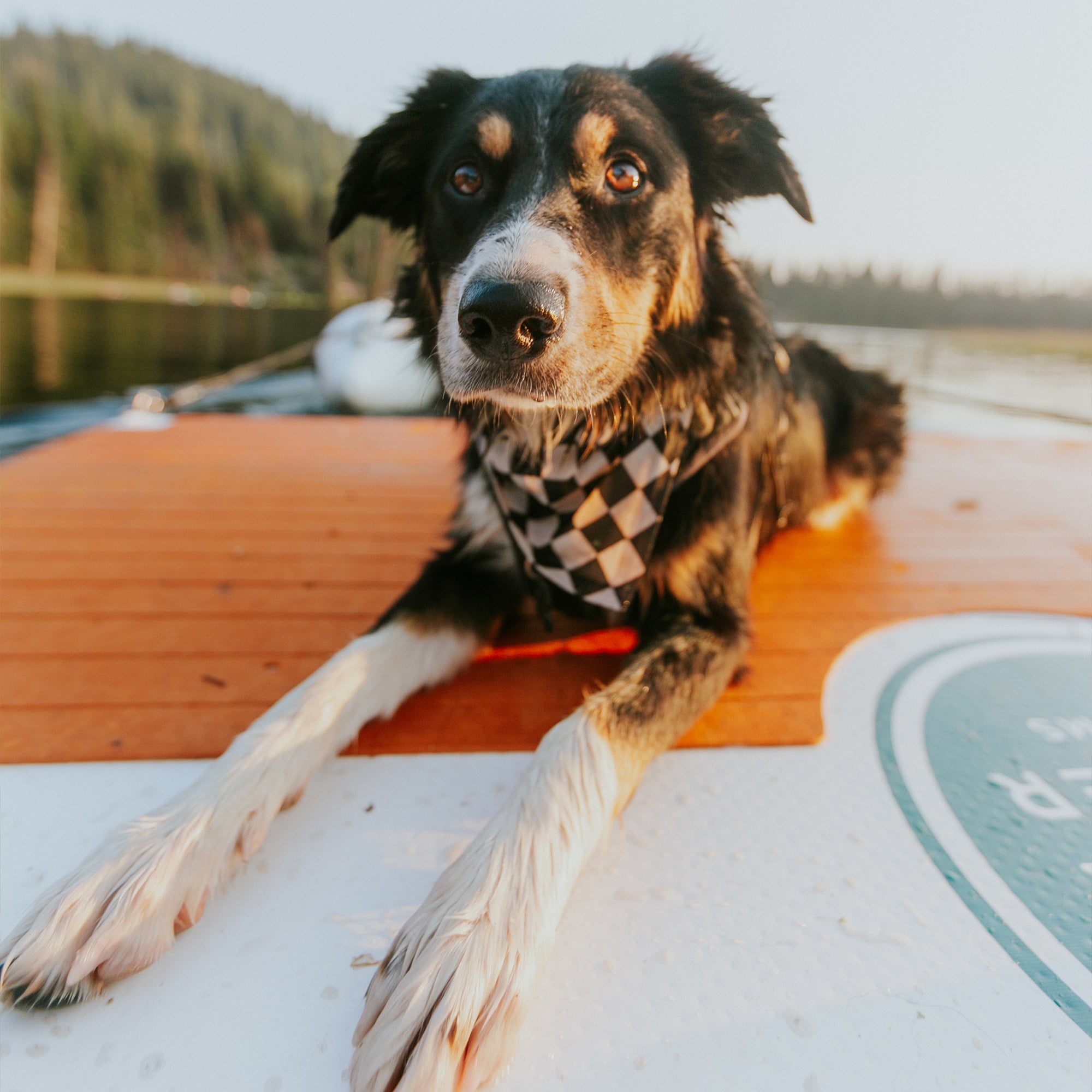 Further Custom Avalon Pet Friendly Hangout Floating Sunchill Pop Up Dock Boating Swim Platform Extender