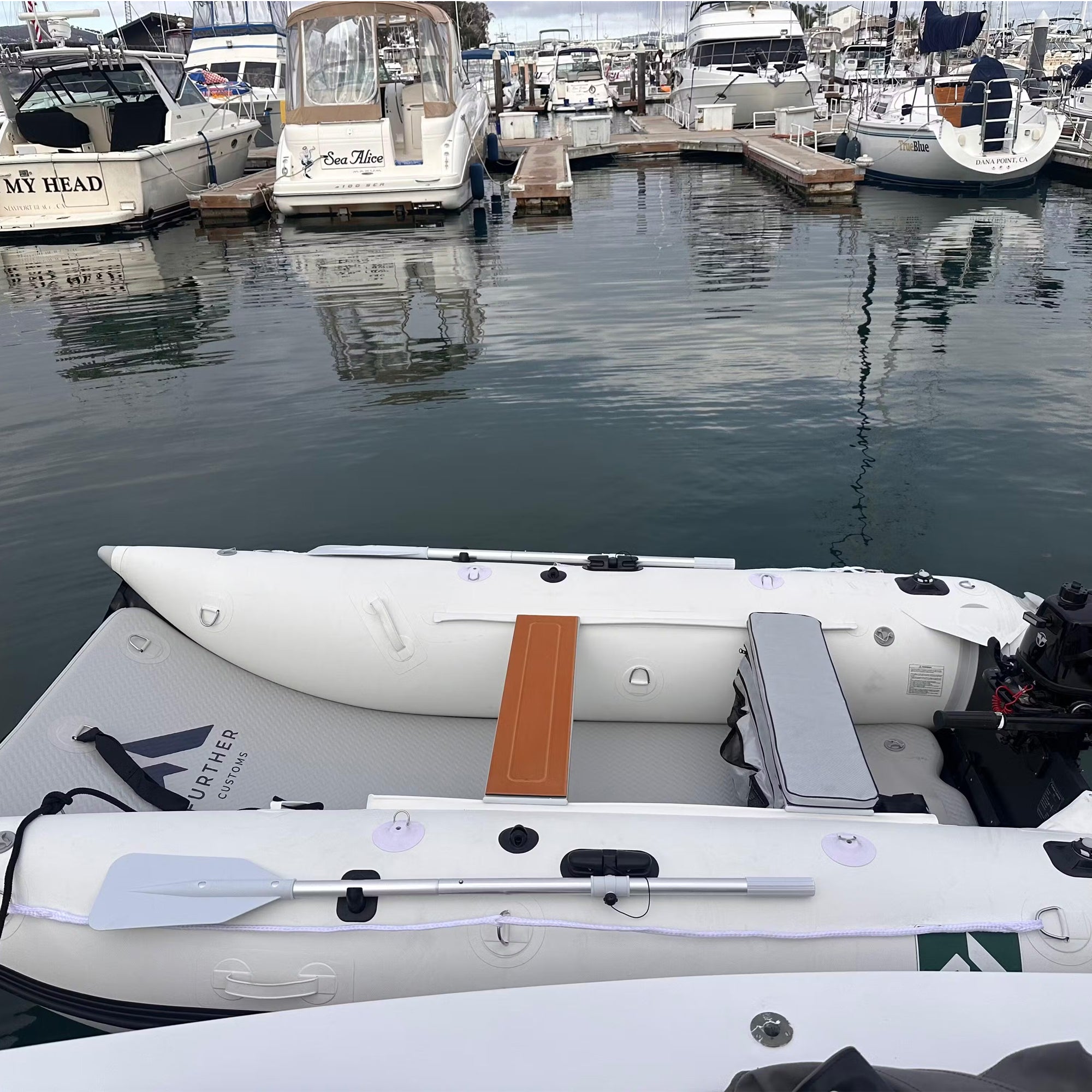 Catamaran Seat Cushion & Storage Bag