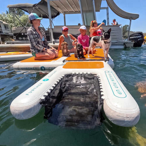 Avalon Pup Up - Dog Ramp & Dock