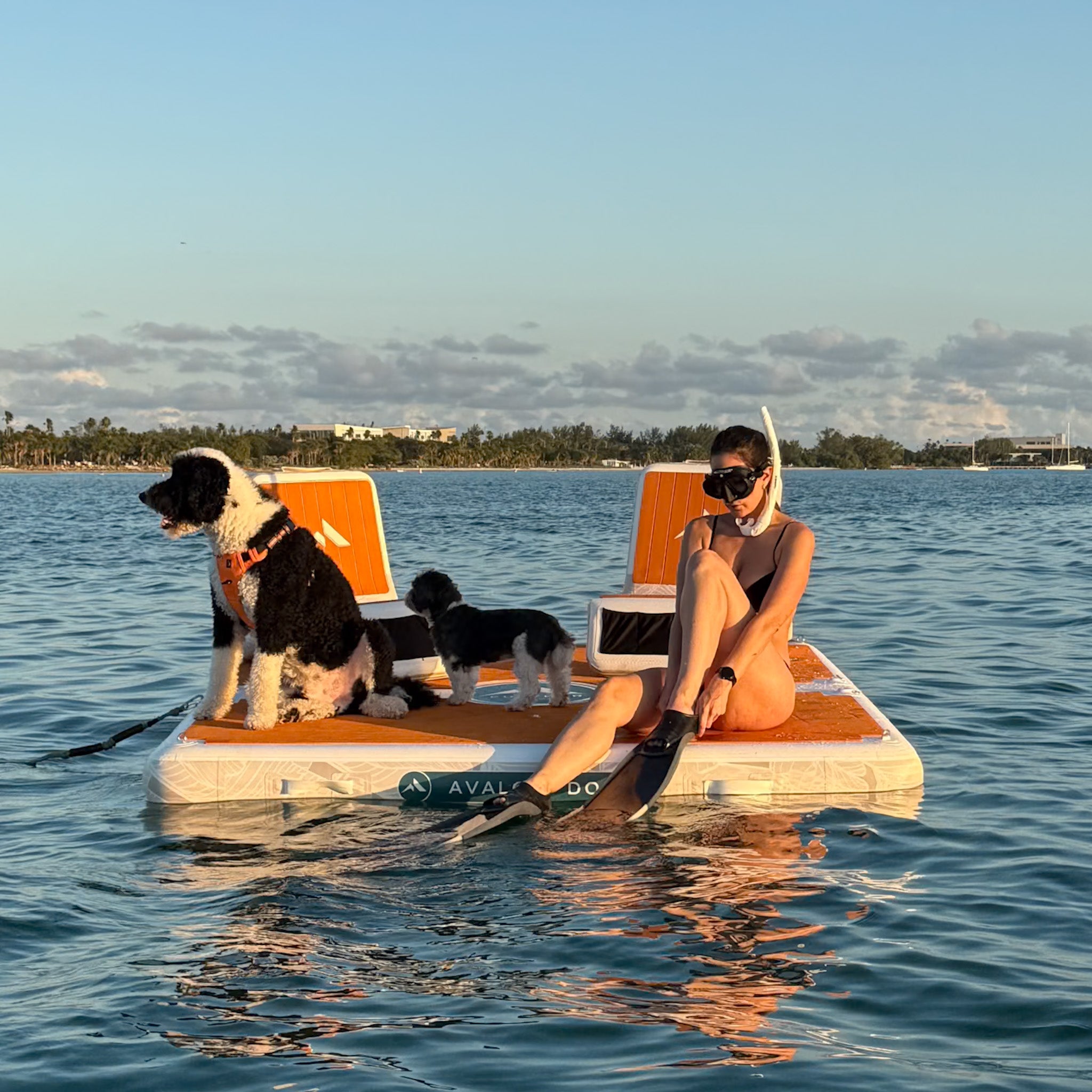 Further Customs 778 Avalon Dock Skippers Seats Boat Dock Deck Furniture Pop Up Chairs