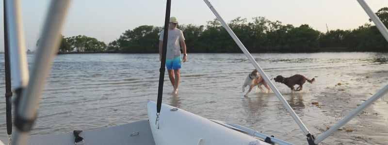 Laguna Inflatabe Catamaran and Remigo Neo One Go Pet Friendly Tender Twin Hull